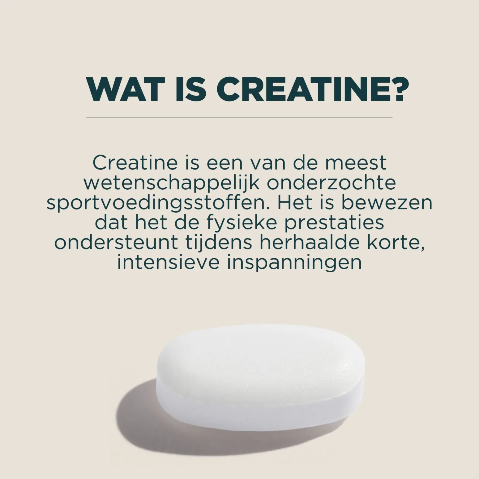 Sale Creatinemonohydraat Tabletten Performance Vitamines·Post-Workout|Performance Vitamines·Pre-Workout