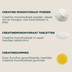 Sale Creatinemonohydraat Tabletten Performance Vitamines·Post-Workout|Performance Vitamines·Pre-Workout