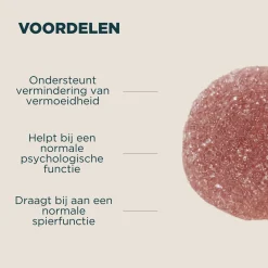 Outlet Magnesiumglycinaat Gummies Wellness & Beauty·Slaap & Ontspanning|Dagelijkse Essentials·Vitamines & Mineralen